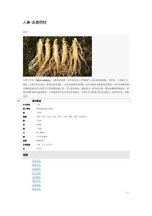 人参介绍——精选推荐