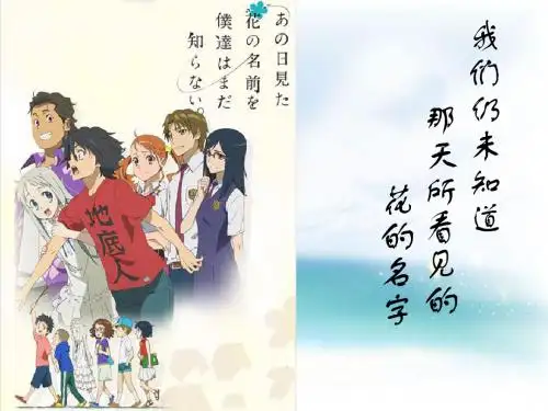 那朵花 20111504820