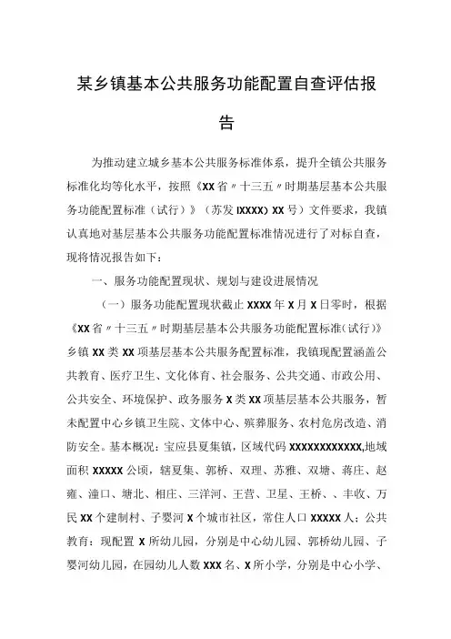 某乡镇基本公共服务功能配置自查评估报告