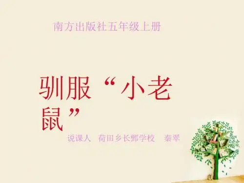 驯服“小老鼠”说课稿