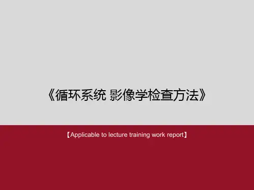 《循环系统 影像学检查方法》PPT课件