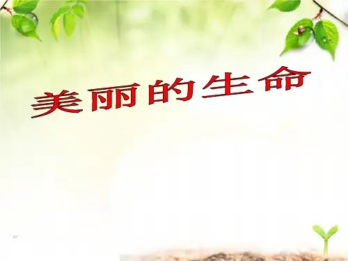 《美丽的生命》珍爱生命 精选优质课件