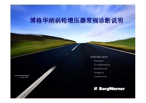 常规涡轮增压器诊断说明 (NXPowerLite)