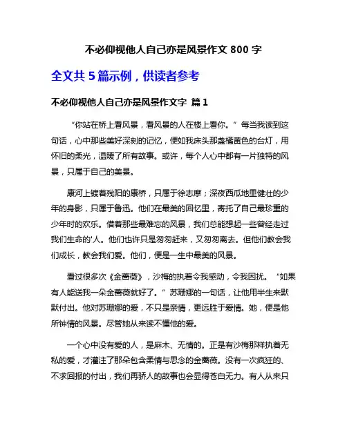 不必仰视他人自己亦是风景作文800字