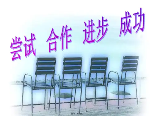 初一数学探索规律(与“问题”相关文档)共20张PPT