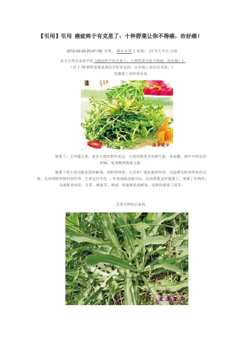 十种野菜