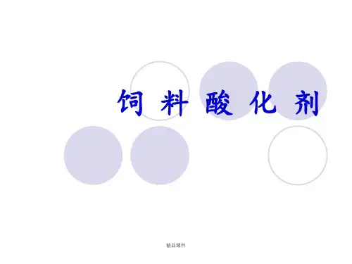 饲料酸化剂