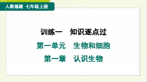 2024年人教版七年级上册生物期末复习训练一知识逐点过第一单元生物和细胞第一章认识生物