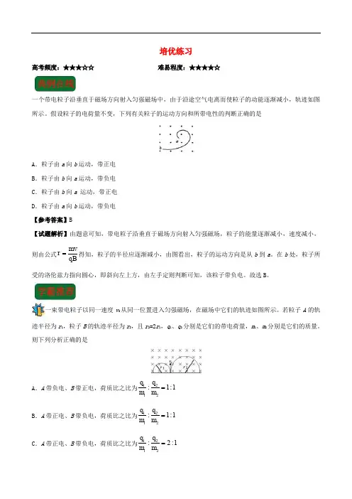 高考物理 复习培优练习(含解析)