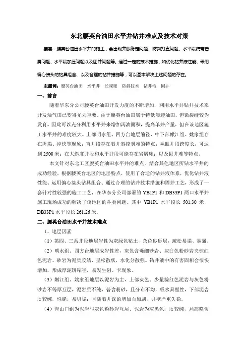 东北腰英台油田水平井难点及对策