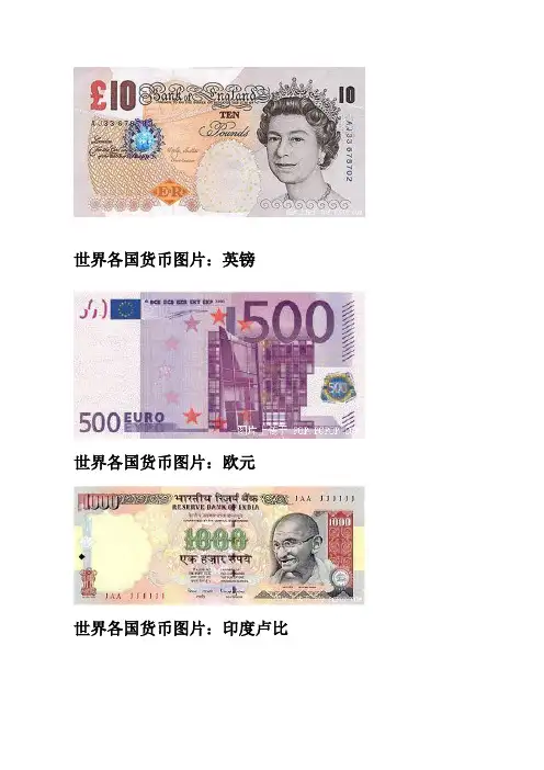 世界各国的货币名称及图片 ()