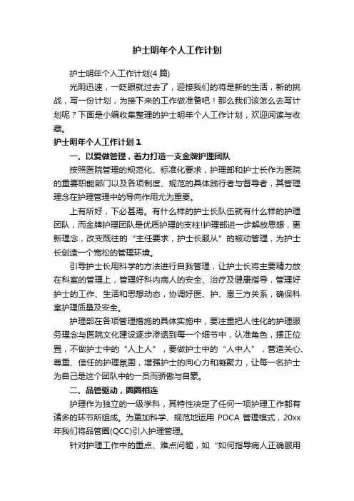 护士明年个人工作计划