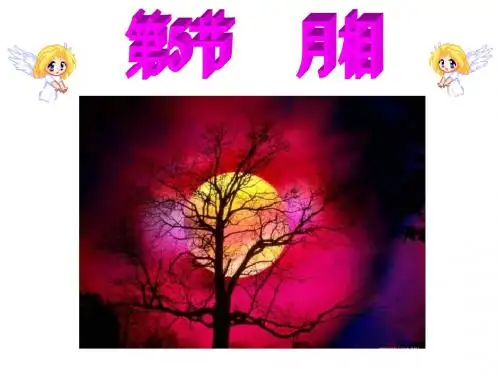 七年级科学月相3