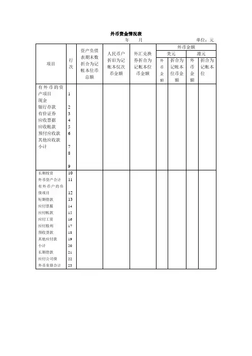 外币资金情况表(doc格式)