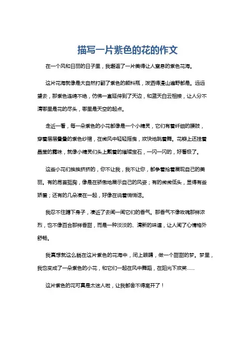 描写一片紫色的花的作文