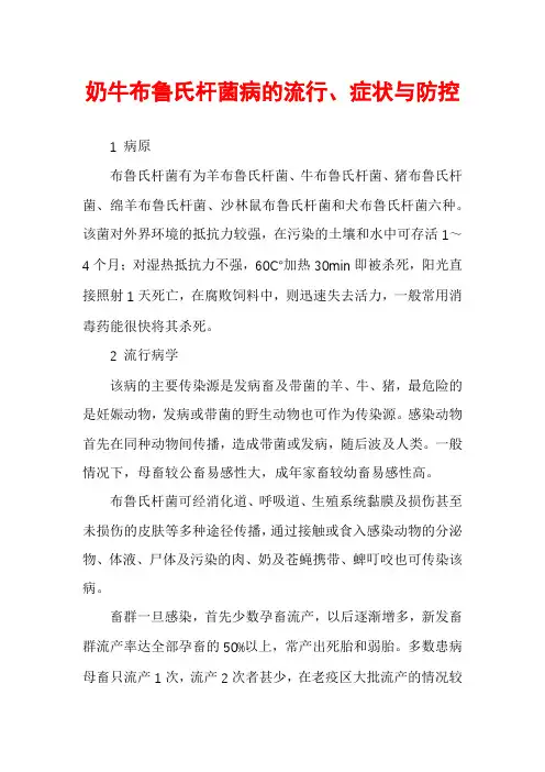 奶牛布鲁氏杆菌病的流行、症状与防控