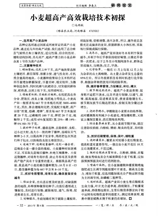 小麦超高产高效栽培技术初探