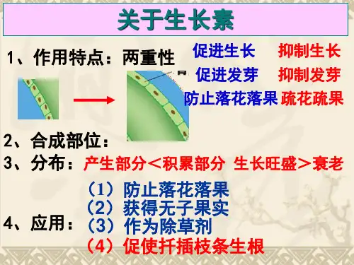 其他植物激素2讲课教案