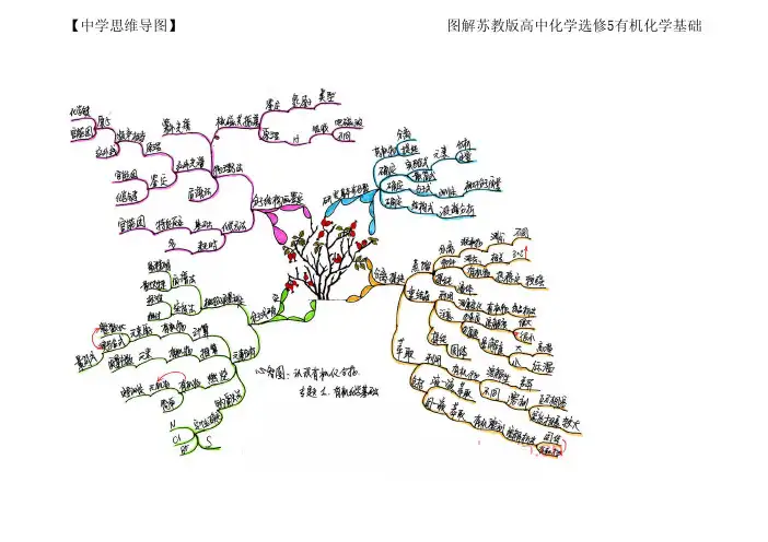 【中学思维导图】图解苏教版高中化学选修5有机化学基础