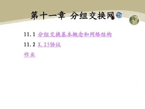 第11章分组交换网