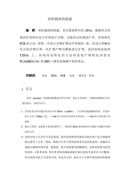 质粒载体的构建