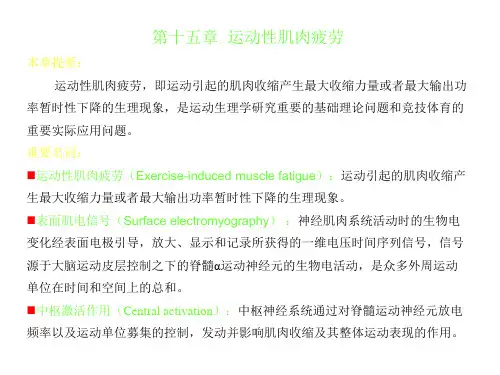 运动性肌肉疲劳