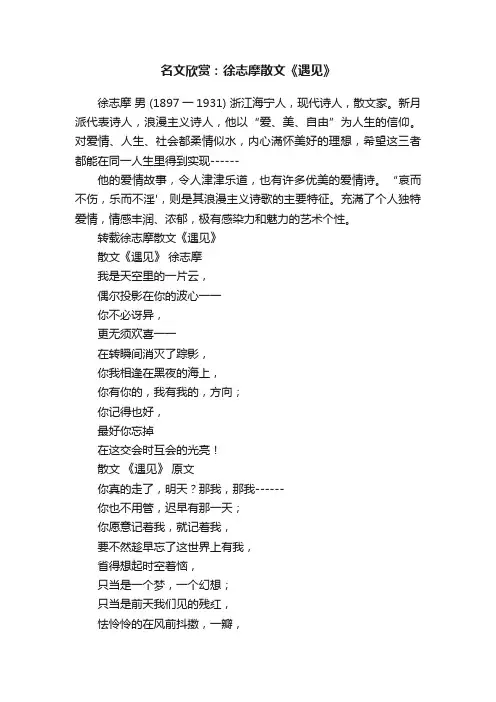 名文欣赏：徐志摩散文《遇见》