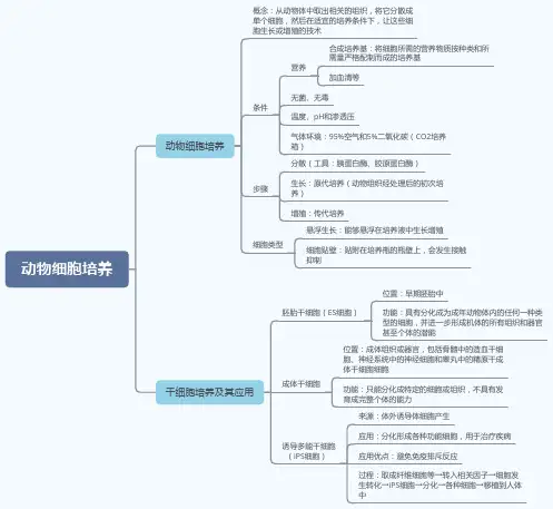 2.2.1动物细胞培养——高二生物学人教版(2019)选择性必修三思维导图