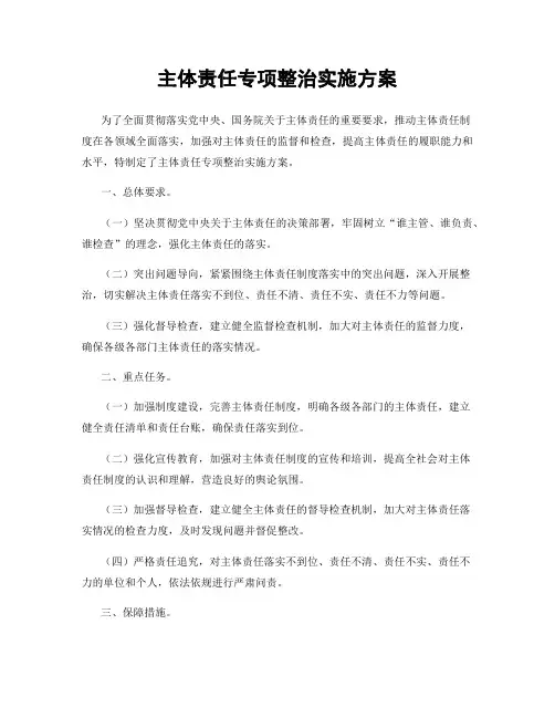主体责任专项整治实施方案