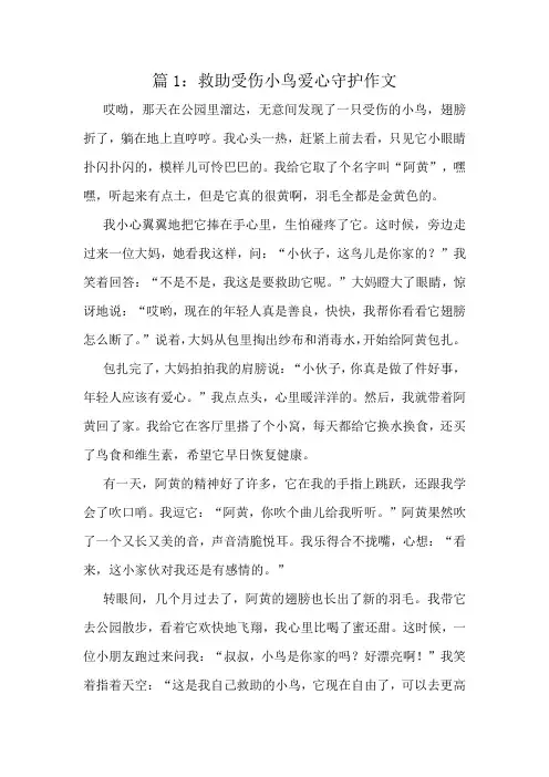 救助受伤小鸟爱心守护作文精选6篇