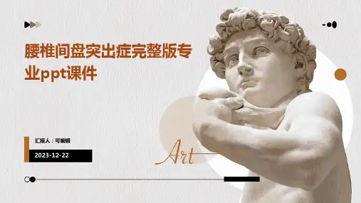 腰椎间盘突出症完整版专业ppt课件