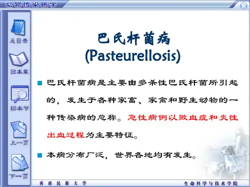 巴氏杆菌病