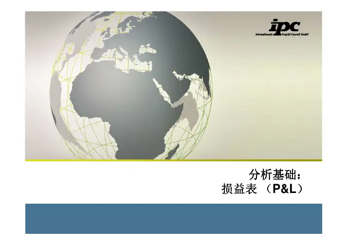 分析基础-损益表