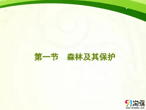 课件11：4.1 森林及其保护