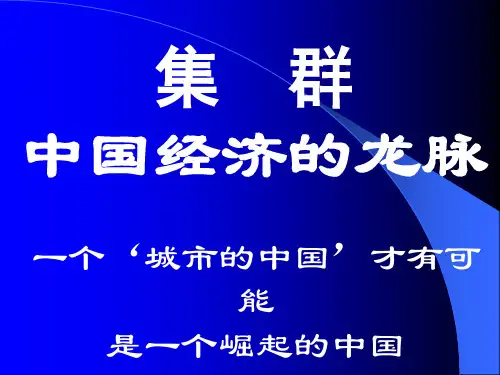 产业集群.ppt33讲解
