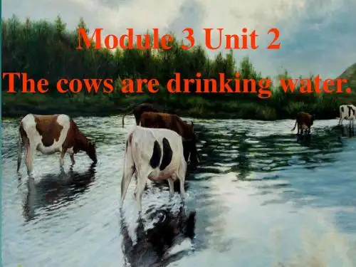六下M3U2_The_cows_are_drinking_water