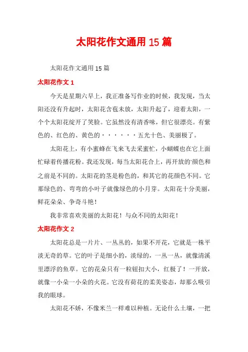 太阳花作文通用15篇