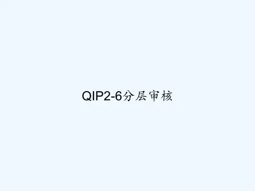 QIP2-6分层审核 PPT