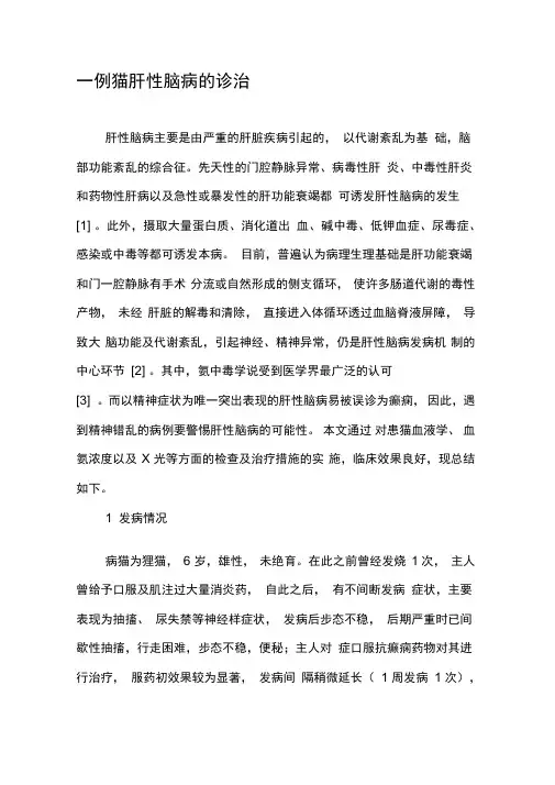 一例猫肝性脑病的诊治