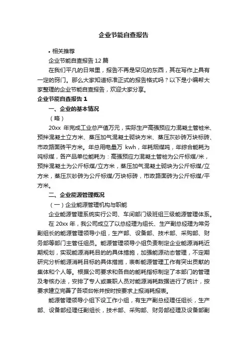 企业节能自查报告
