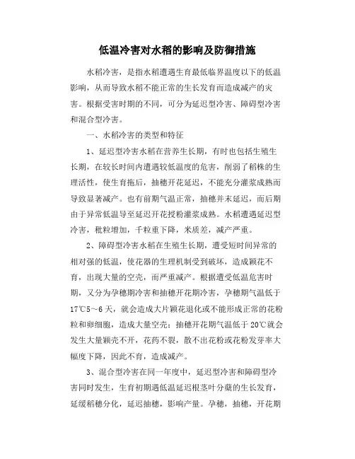 低温冷害对水稻的影响及防御措施