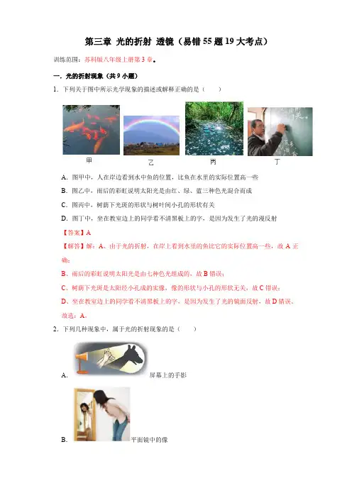 第3章 光的折射 透镜(易错55题19大考点)(解析版)