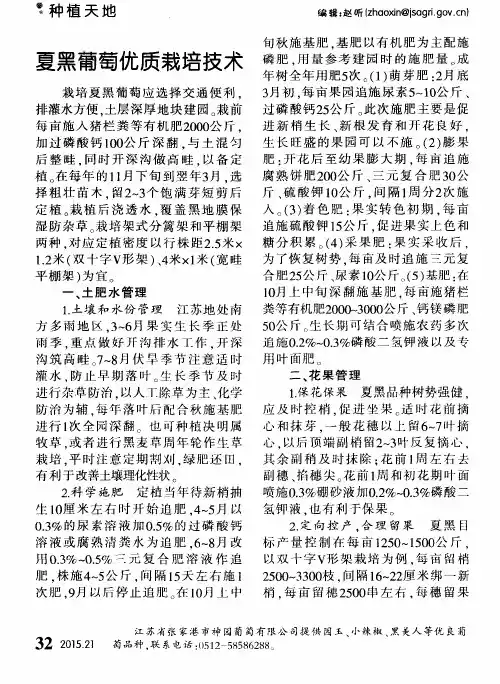 夏黑葡萄优质栽培技术