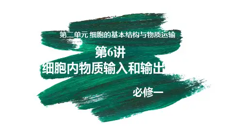 细胞内物质输入和输出-高考生物一轮复习课件