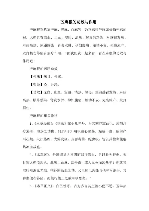 苎麻根的功效与作用