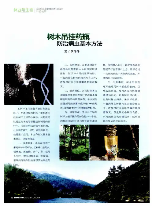 树木吊挂药瓶防治病虫基本方法