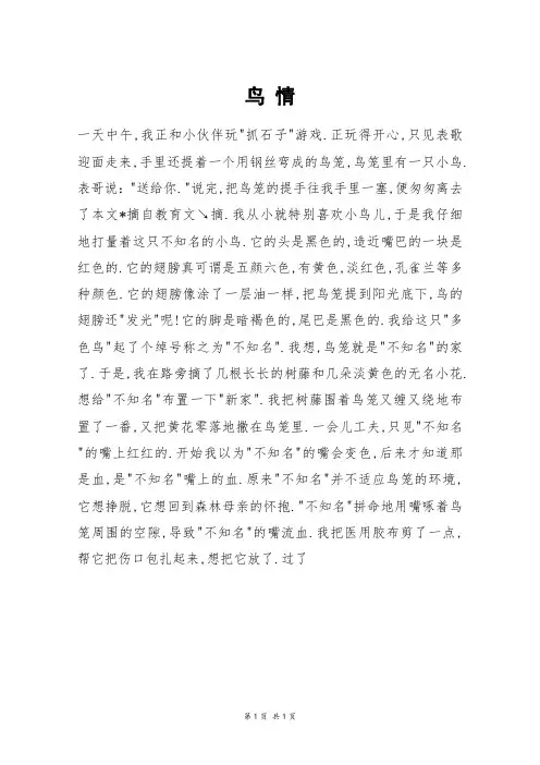 鸟 情_高三作文