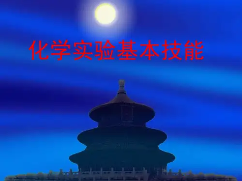 化学实验基本技能