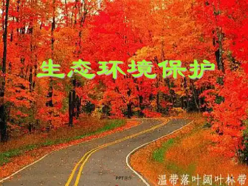 森林及其保护--ppt课件