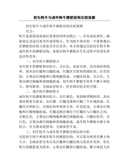 初生牦牛与成年牦牛脾脏结构比较观察